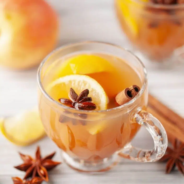 spiced hot apple cider