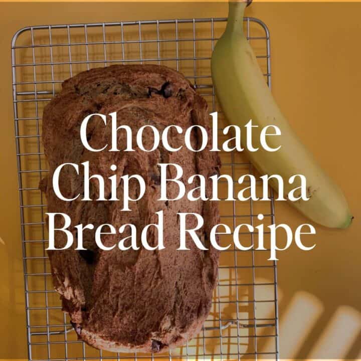 chocolate chip banana bread recipe
