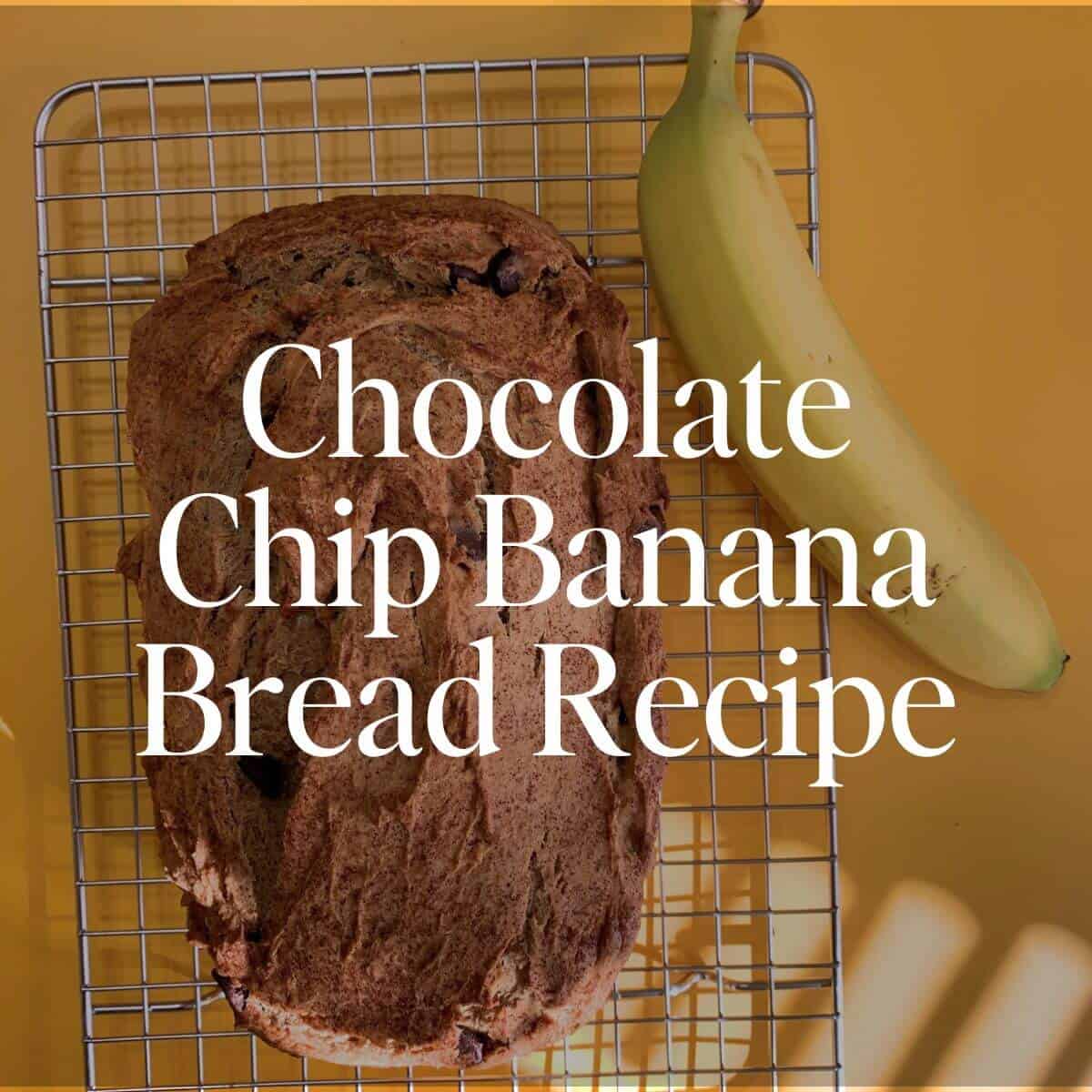 chocolate chip banana bread recipe