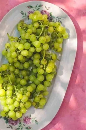 Grapes, fruit high in sugar.