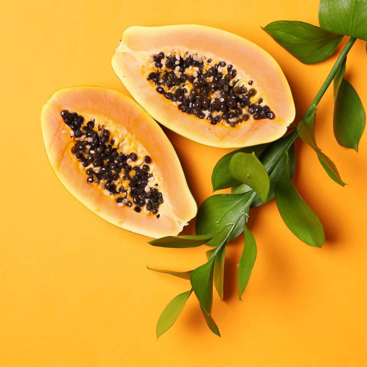 Papaya nutrition facts