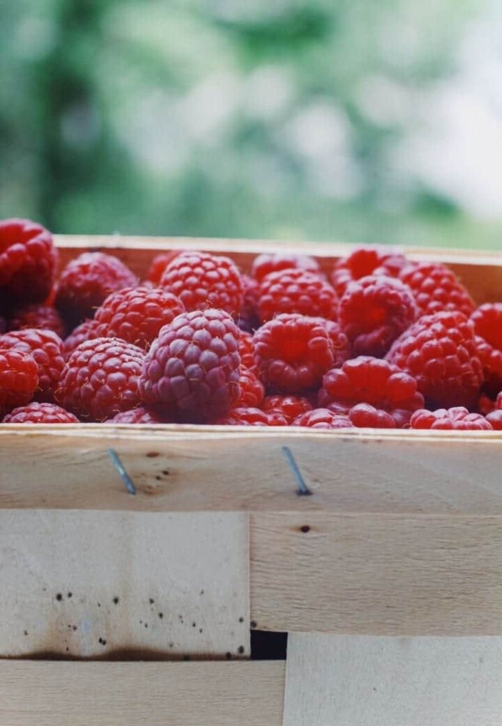 Health and beauty benefits of raspberies