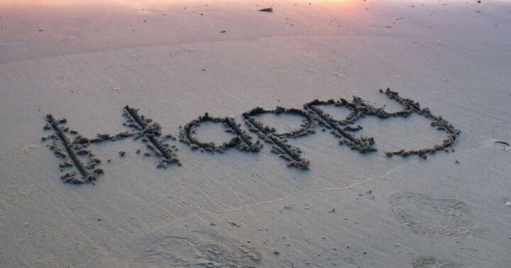 Choose Happiness: 3 Steps to Create It for Yourself