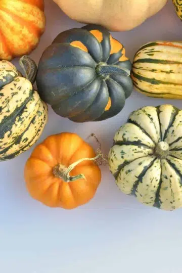 Delicious Types of Winter Squash