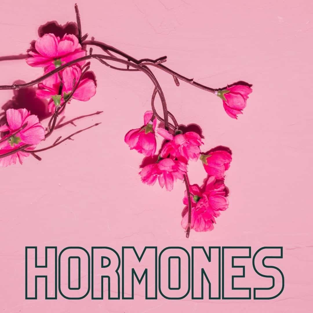 5 sign and symptoms you may have female hormone imbalances