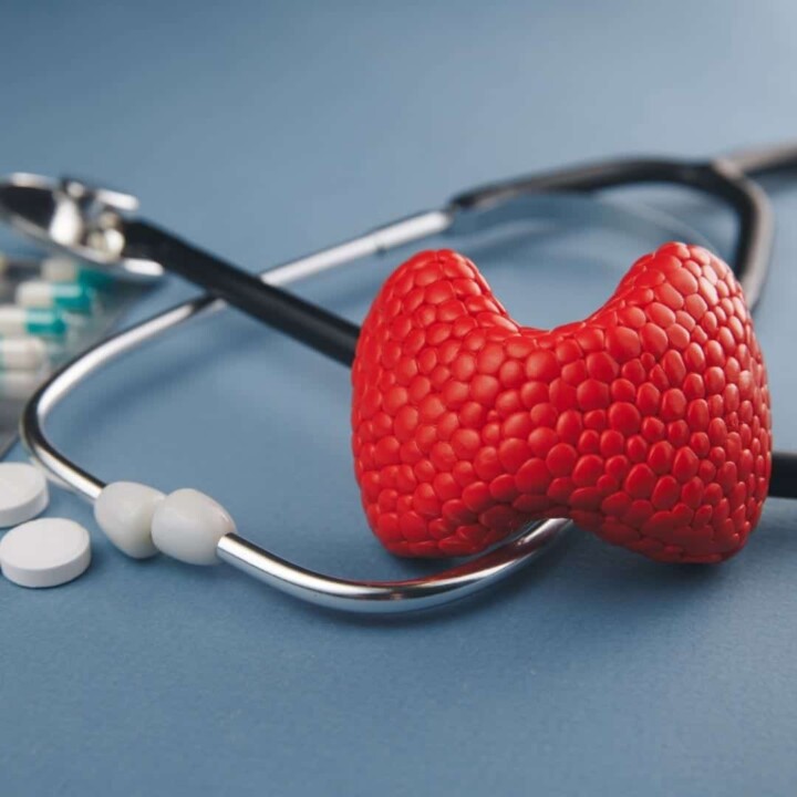 Stethoscope, thyroid medications, and thyroid on a blue table.