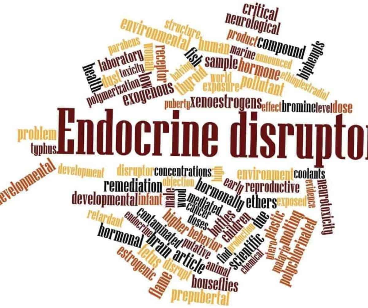 Are Food Additives Endocrine Disruptors, Messing With Hormones?