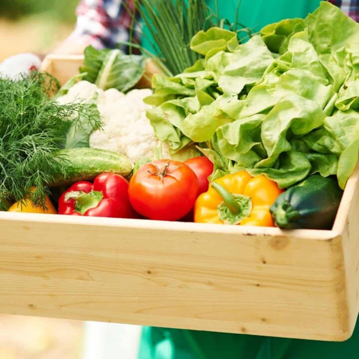 top 6 hydrating foods to include in your diet