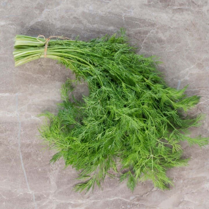 dill natural herbs spices natural healing