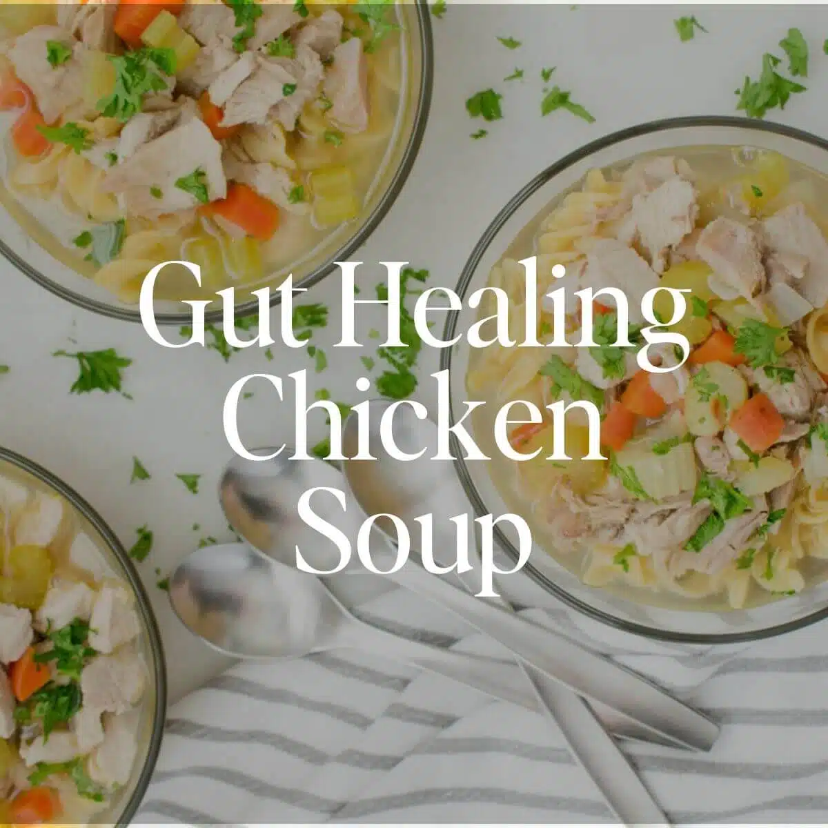 Gut Healing Chicken Soup