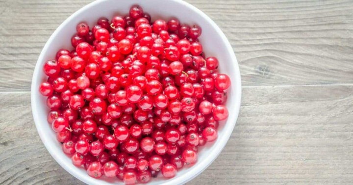 Quick Ways to Add Phytochemicals Into Your Diet