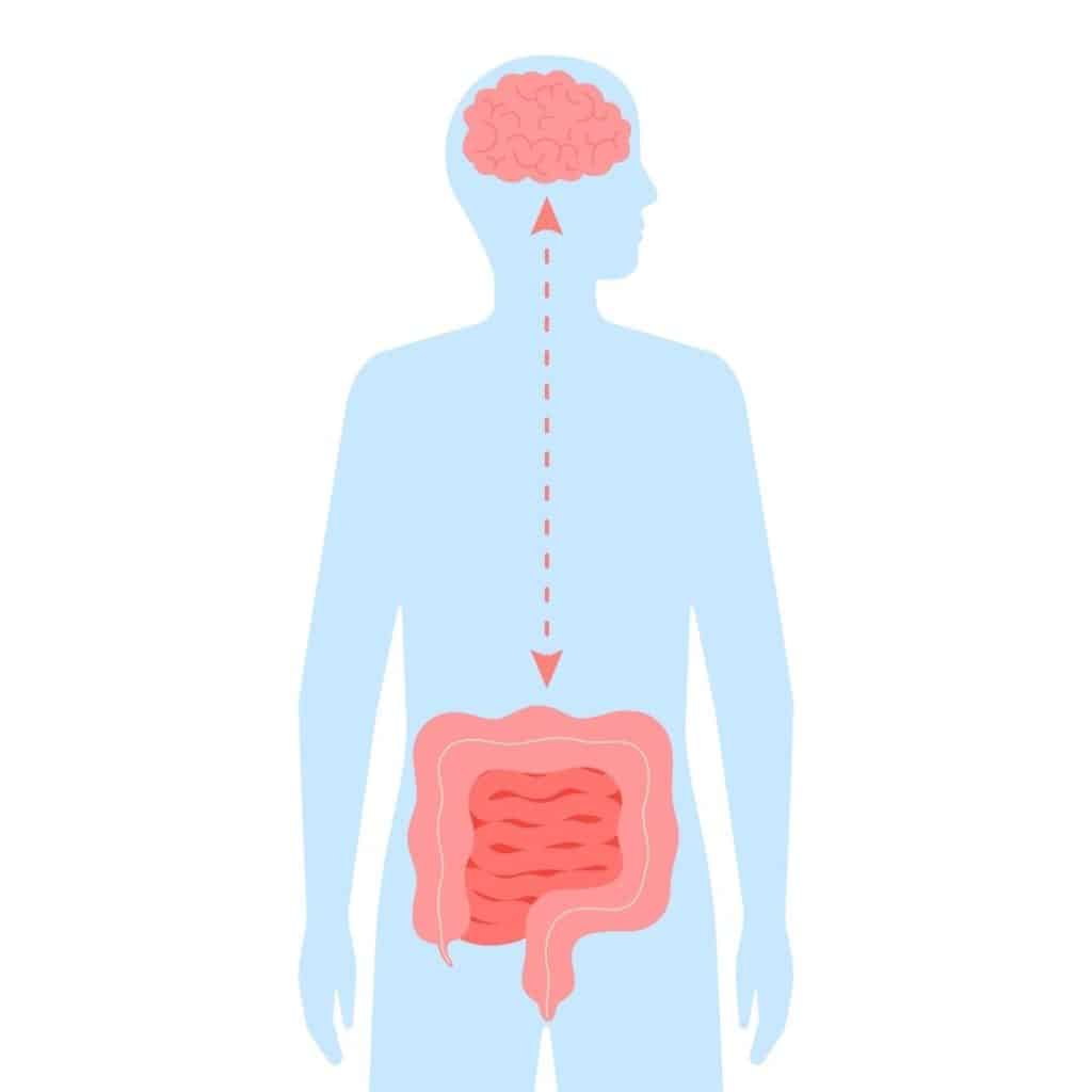 Infographic of the gut-brain connection and mental health.