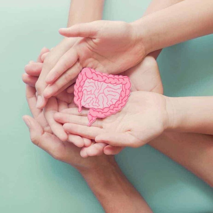 gut health importance