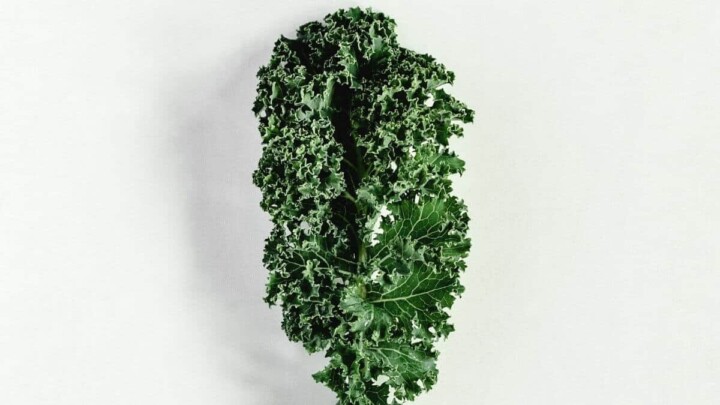 nutrition health beauty benefits of kale