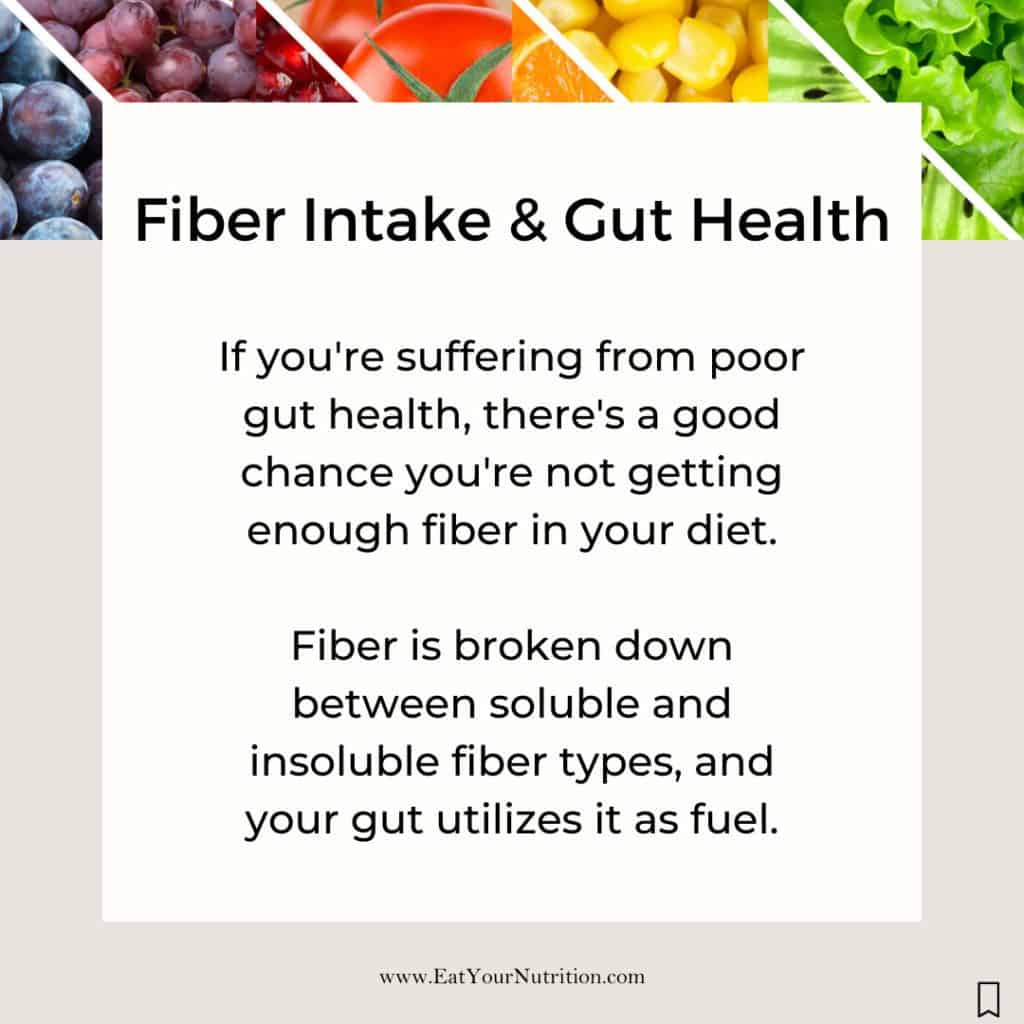Fiber Intake & Gut Health