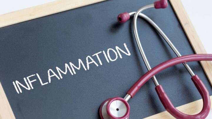 Leaky gut and inflammation how to improve intestinal permeability