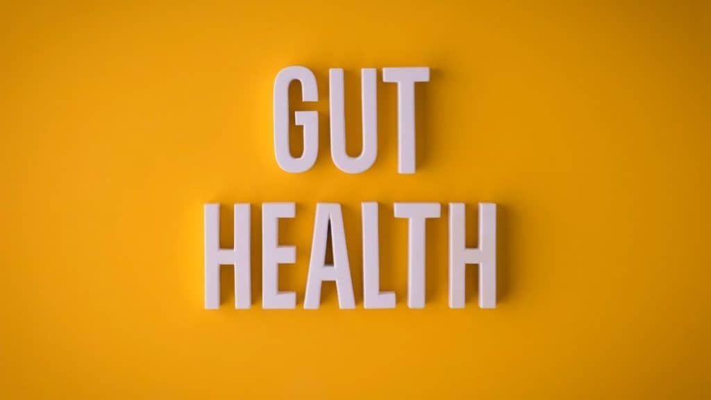 Gut health and inflammation.