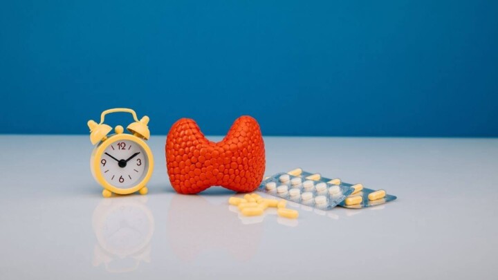 3 powerful nutrients for thyroid health