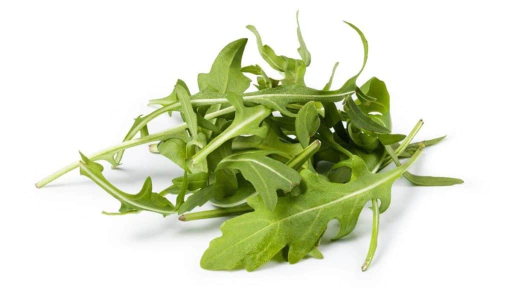 Arugula, healthy greens to add to your diet. 