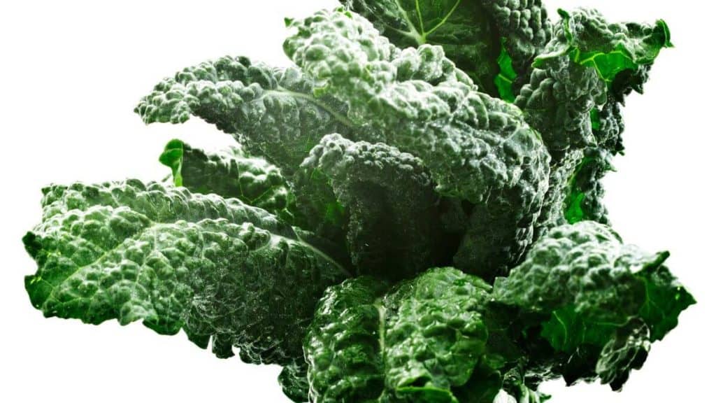 Lacinato kale, greens to eat, a healthy green vegetable to eat.
