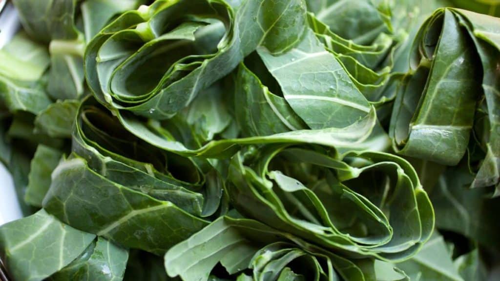 Collard greens, yummy vegetable to eat.