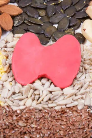 foods for thyroid function, like Brazil nuts and seeds.