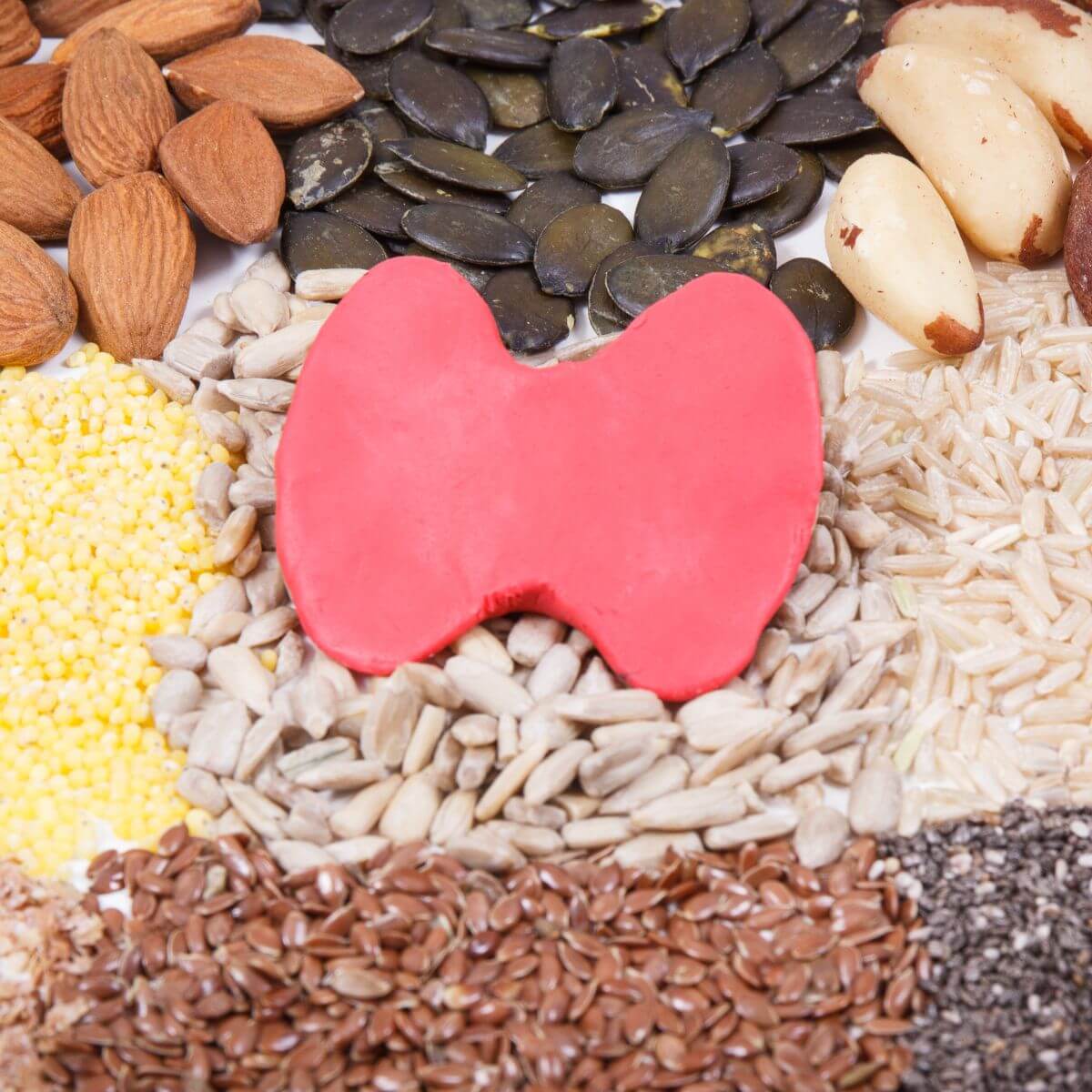 foods for thyroid function, like Brazil nuts and seeds.