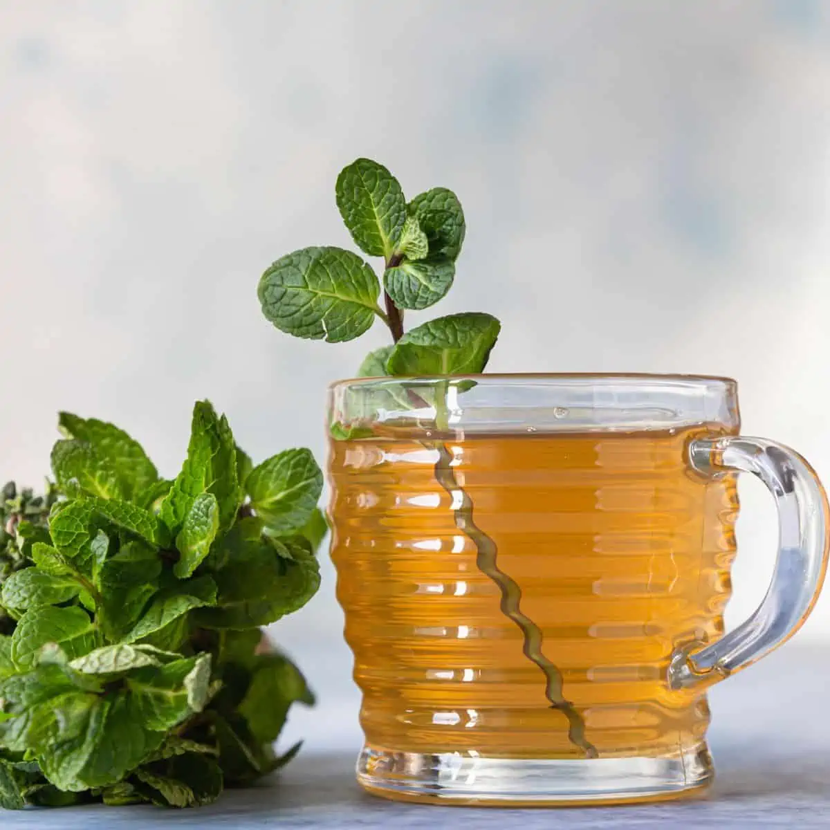 healthy digestion tea recipe. healthy gut tea