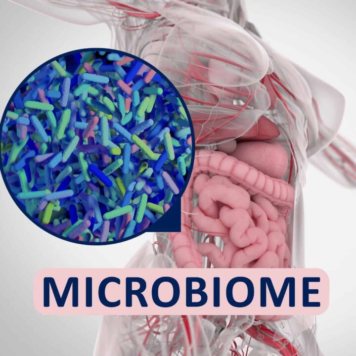 regulation of gut bacteria and improved microbiome