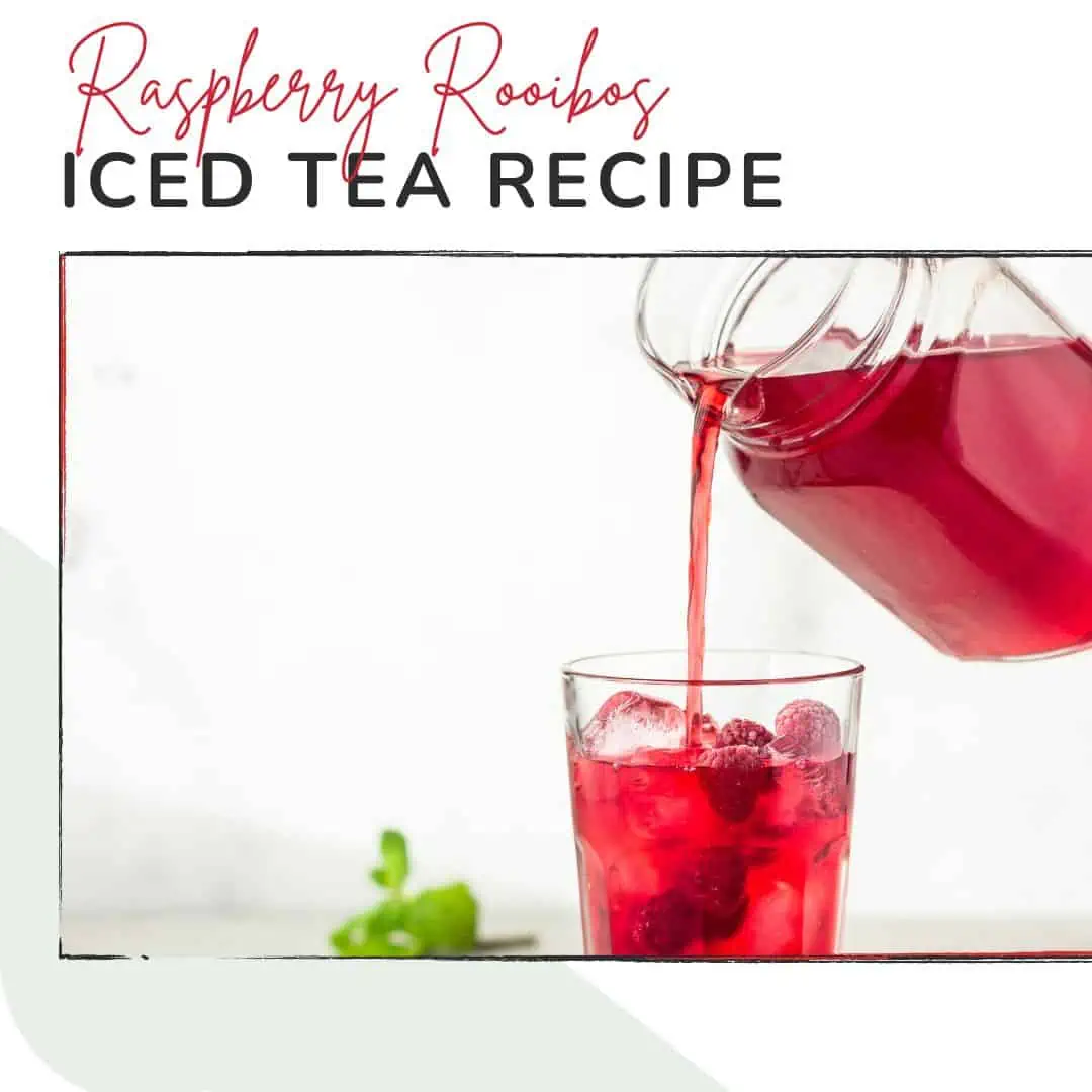 raspberry rooibos iced tea recipe