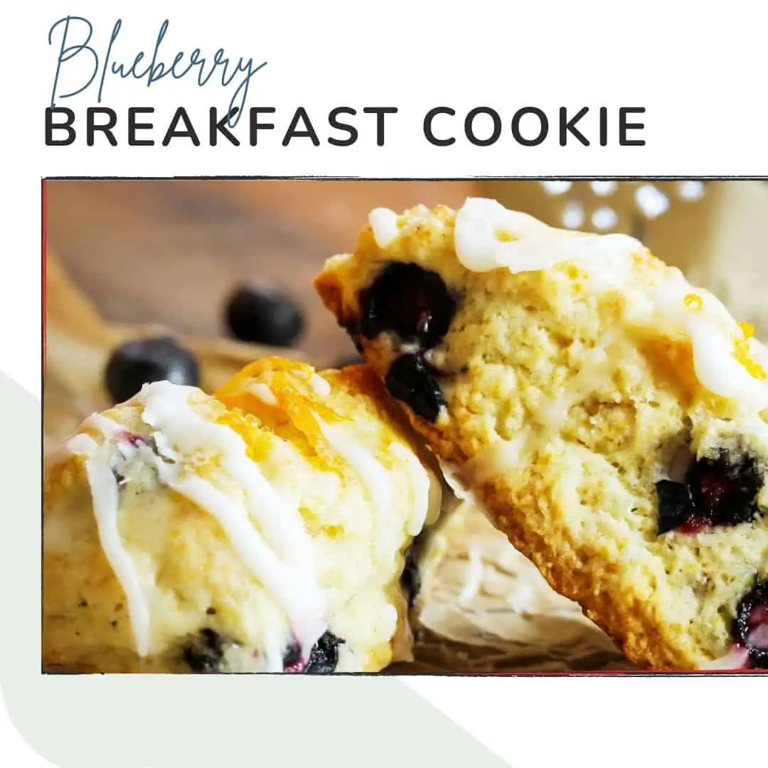 Blueberry breakfast cookie