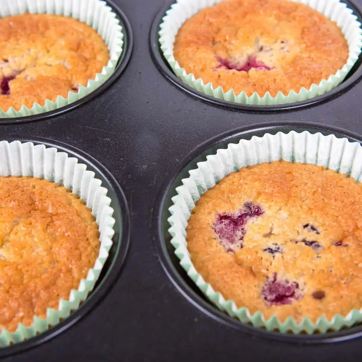 Mixed berry muffins