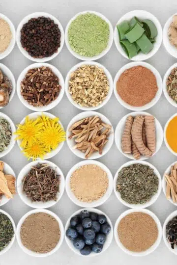 List of Antioxidants and Adaptogens Benefits