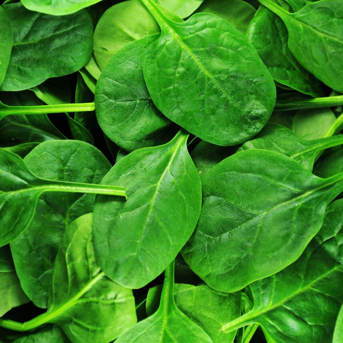 spinach, leafy greens, a food for acne prone skin