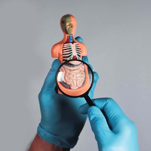 Finally Healing The Microbiome - The Best Gut Health Test