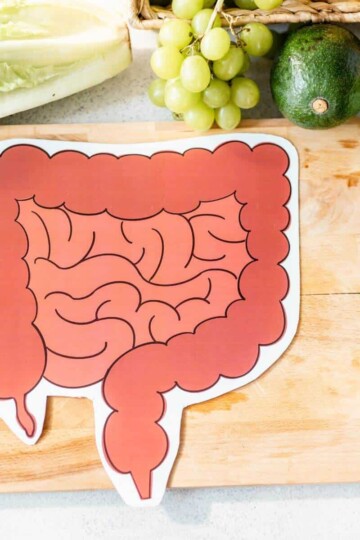 Daily Struggle Living with Gut Inflammation in the Body
