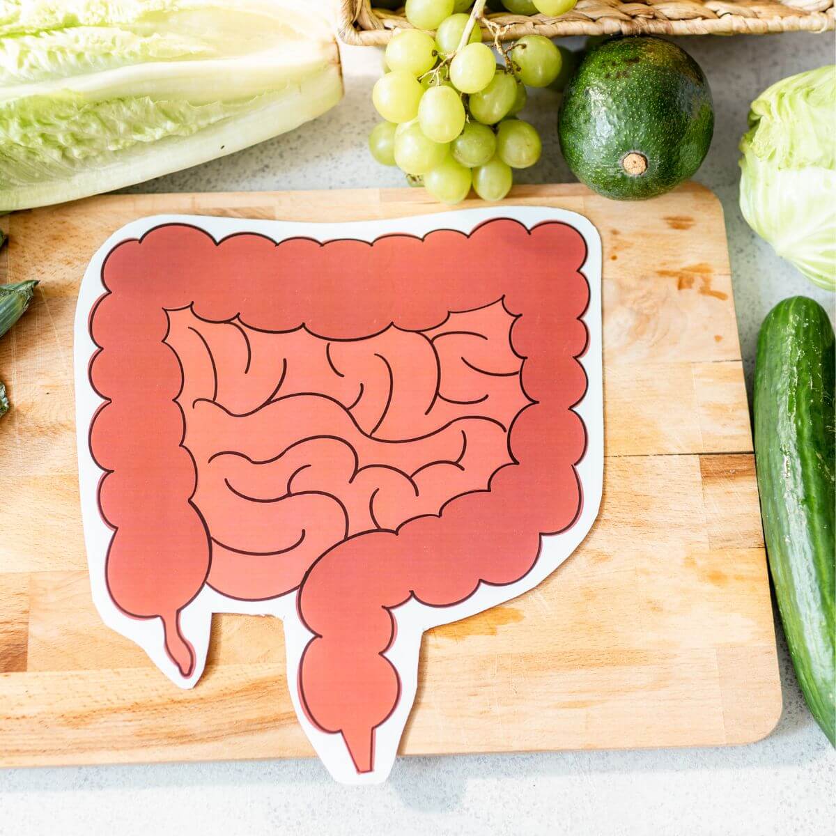 Daily Struggle Living with Gut Inflammation in the Body