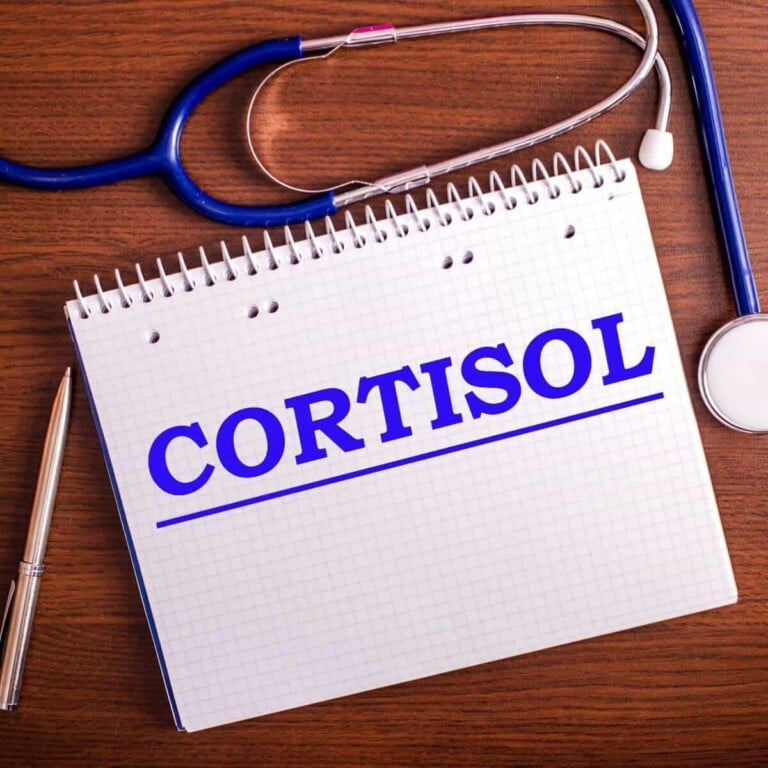 Notebook with the word cortisol