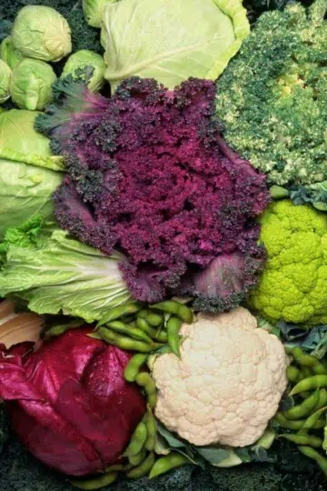 raw cruciferous vegetables eating suggestions