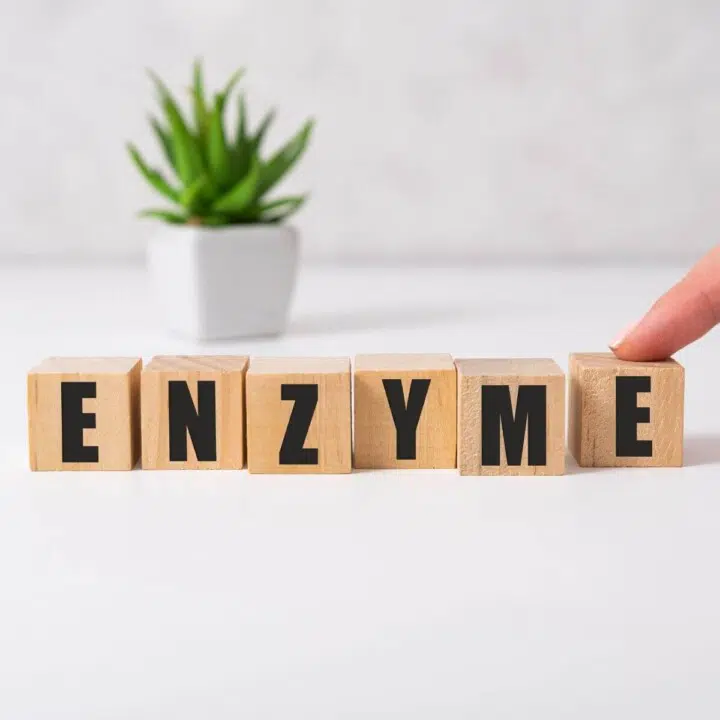 best digestive enzymes