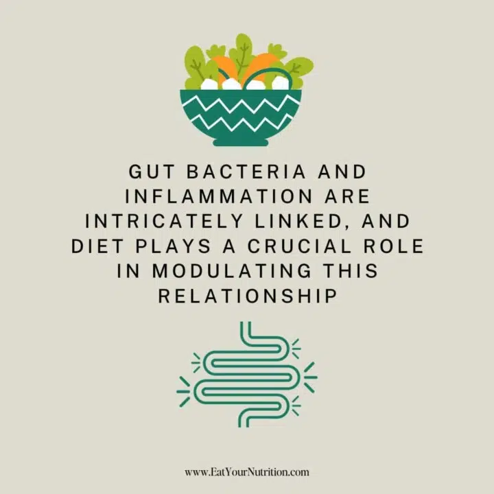 Gut bacteria and inflammation are intricately linked, and diet plays a crucial role in modulating this relationship for microbiome health.
