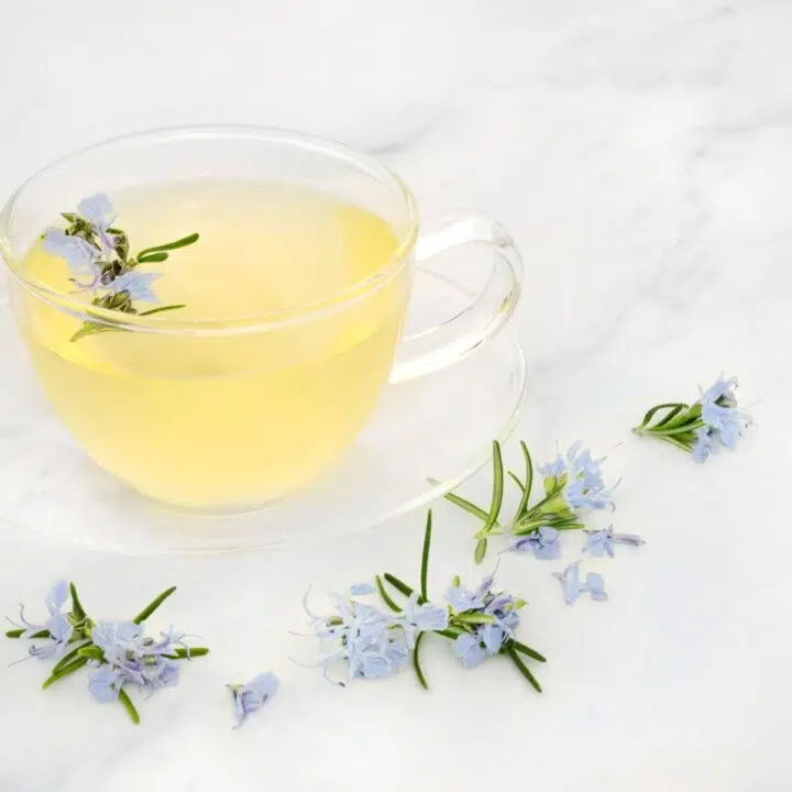 Best Herbs That are Good For Your Health and Help With Digestion?