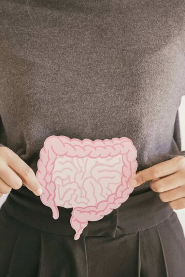 Gut-Brain Microbiome Connection: How To Feed Your Brain
