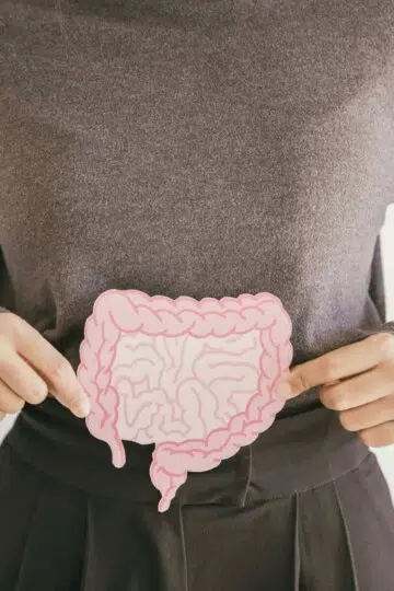 Gut-Brain Microbiome Connection: How To Feed Your Brain