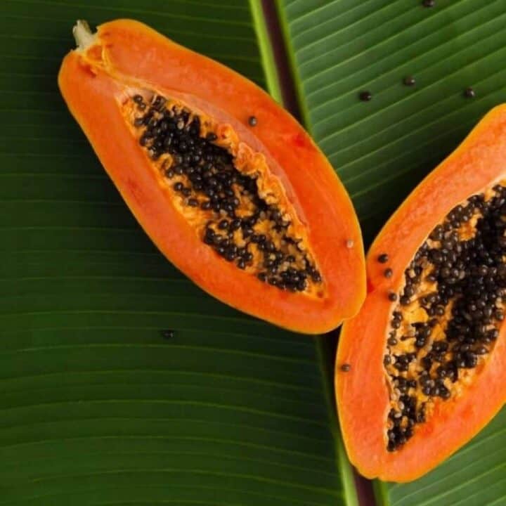 Papaya - Nutrition, Health and Beauty Benefits, nutritional value