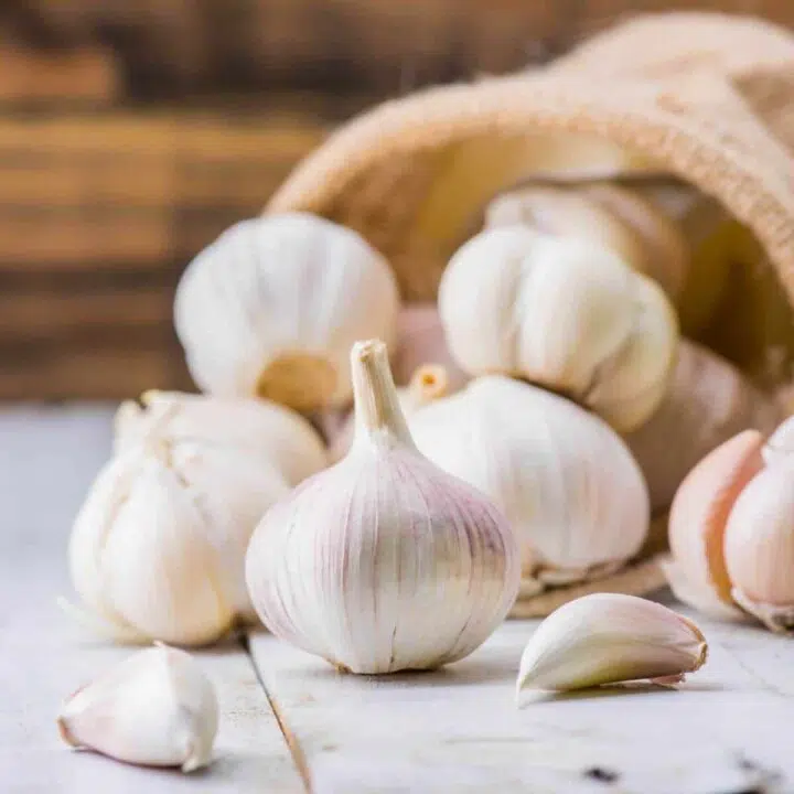 Raw Garlic: Is Garlic Good For You and Can it Boost Immunity?