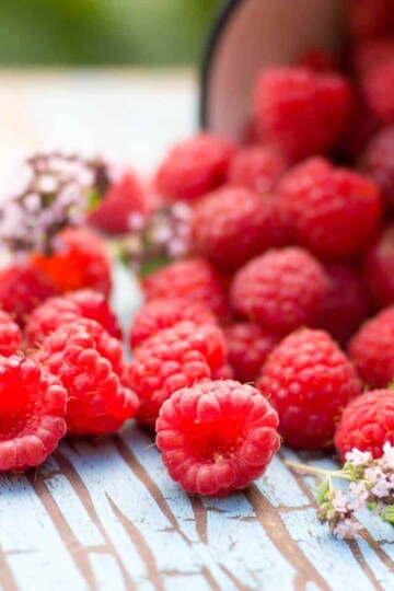 red raspberries nutrition value facts health beauty benefits