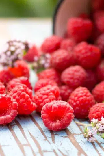 red raspberries nutrition value facts health beauty benefits