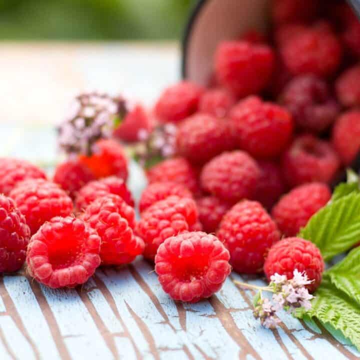 Red Raspberries: Raspberry Nutrition Value, Facts, Health and Beauty Benefits and good for weight loss