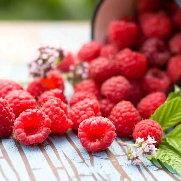 Red Raspberries: Raspberry Nutrition Value, Facts, Health and Beauty Benefits and good for weight loss